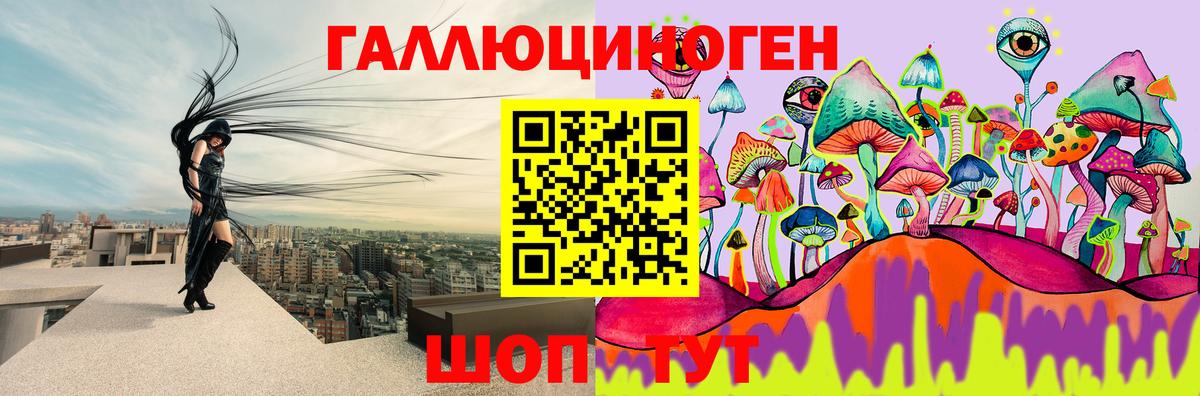 Псилоцибиновые грибы Psilocybe  Вход с VPN  Чебоксары  Псилоцибиновые грибы ЛСД 